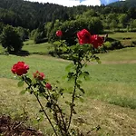 Отель Mont Velan & Restaurant