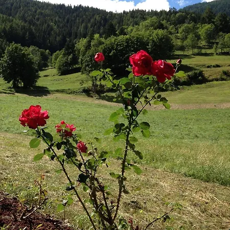 Отель Mont Velan & Restaurant