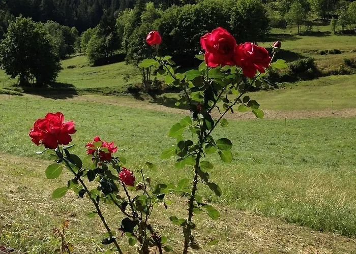 Hotel Mont Velan & Restaurant